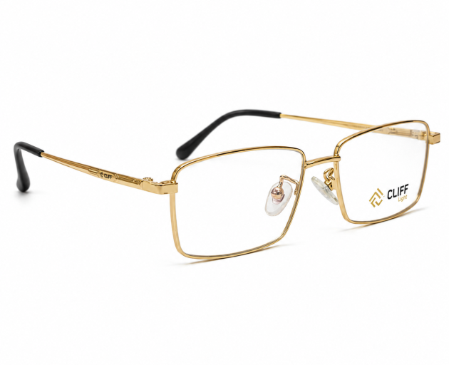 CLIFF Light Golden Rectangular Eyeglass Frame – Prescription Glasses Nepal