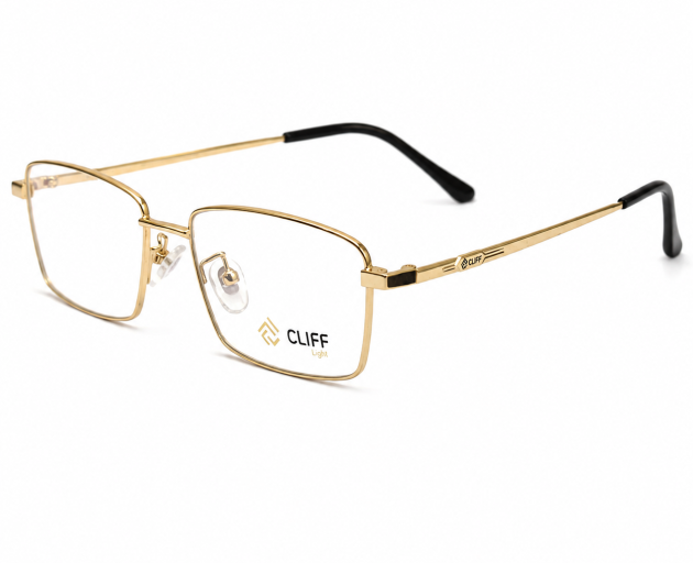 CLIFF Light Golden Rectangular Eyeglass Frame – Prescription Glasses Nepal