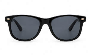 Classic Wayfarer Polarized Sunglasses